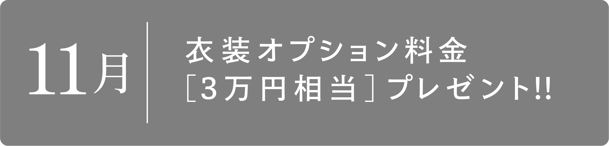 11月　衣装オプション料金[3万円相当]プレゼント!!